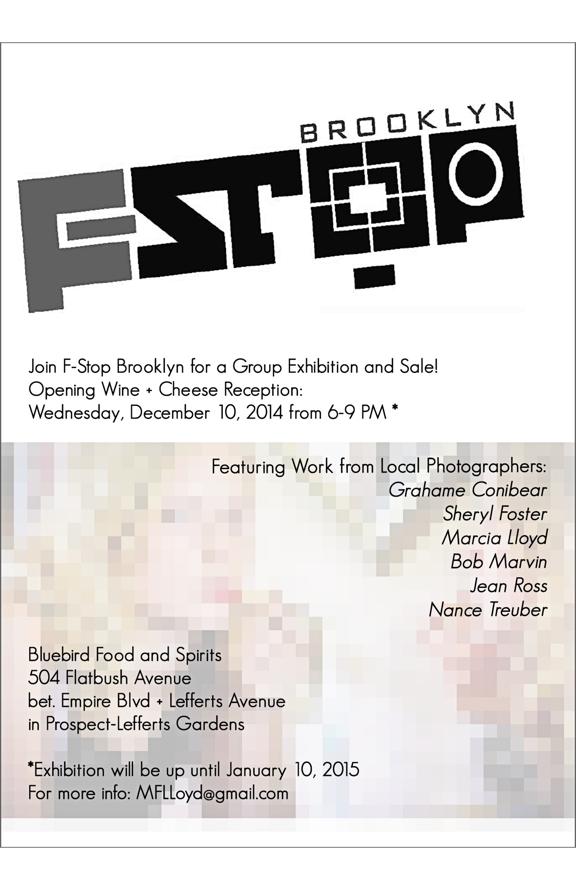 FstopBluebird Poster-Small
