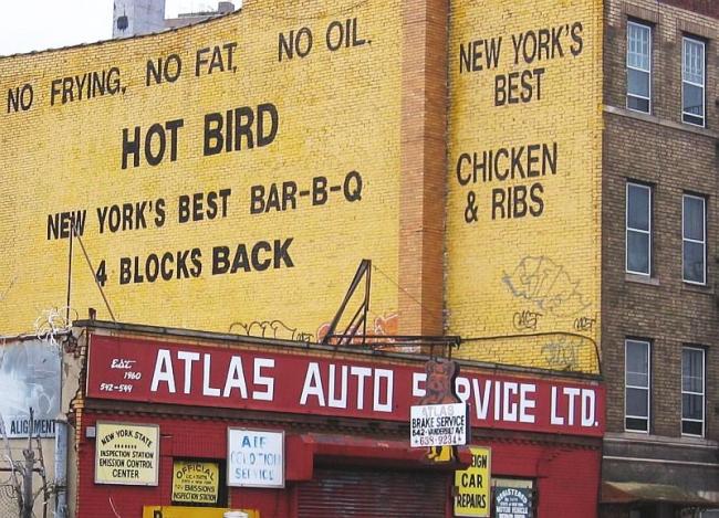 hot bird