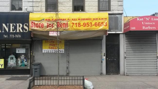 250 Bodega