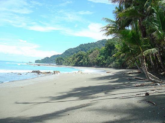 550_beach-on-the-corcovado