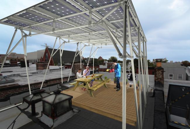 Canopy Rendering- BSW-1