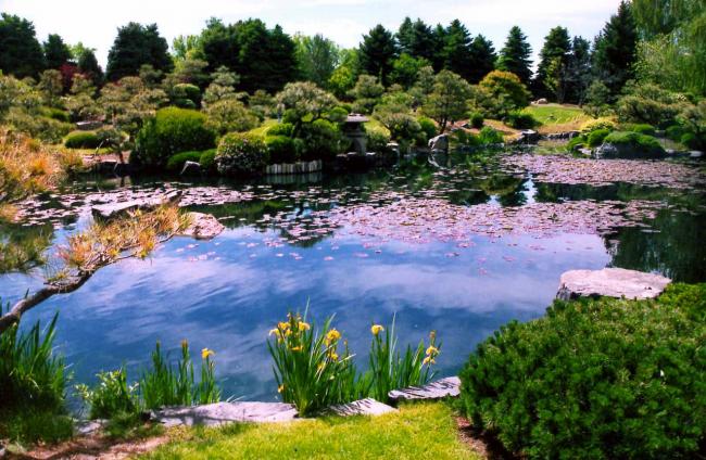 garden garden