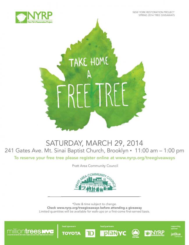 PACCspringtrees2014