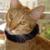 mancatmissing