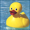 lovelynugget