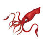 giantsquid