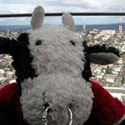 littlestuffedbull