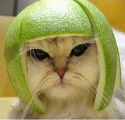 consciousness