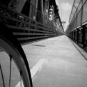 cycleogical