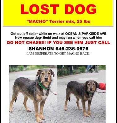 LOSTMACHO