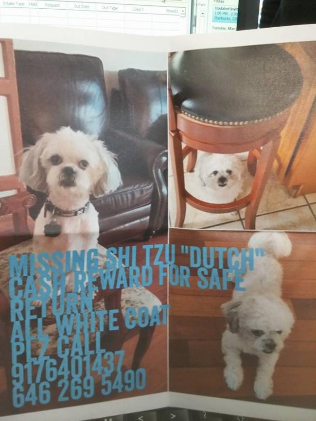 dutch