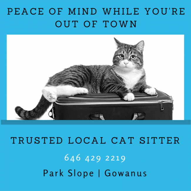 pet sitter